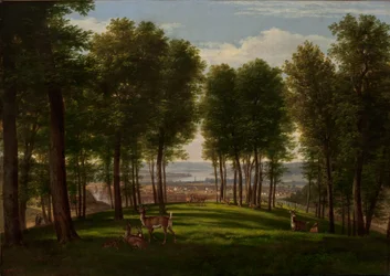 Veduta di Cincinnati, Ohio